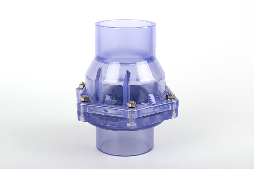 南漳透明翻板式止回阀